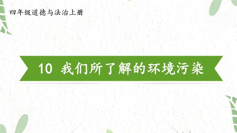 道德与法治人教版四年级（上册）10 我们所了解的环境污染_第2页