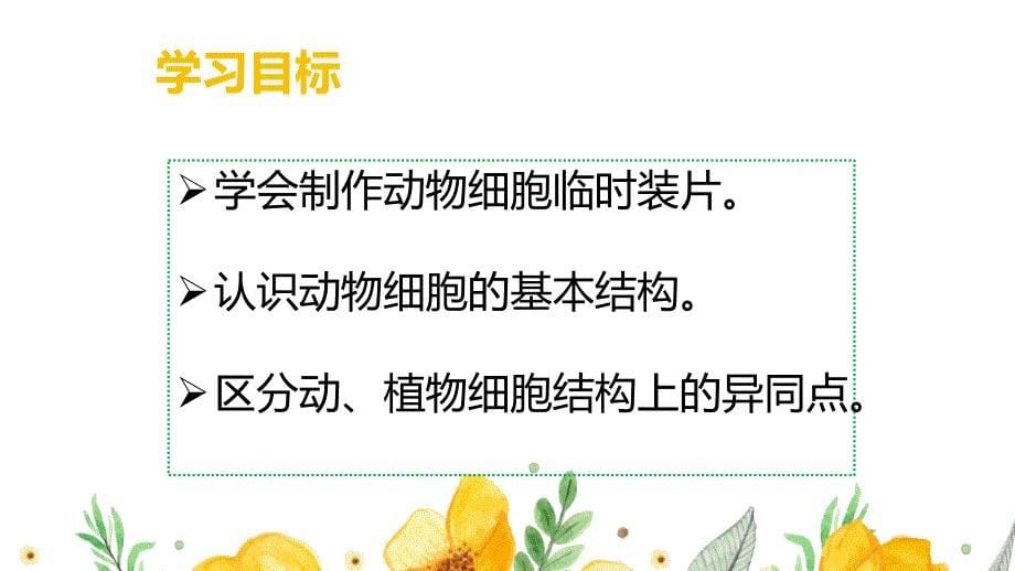 动物细胞教学课件-2024--2025学年（2024）人教版生物七年级上册_第5页