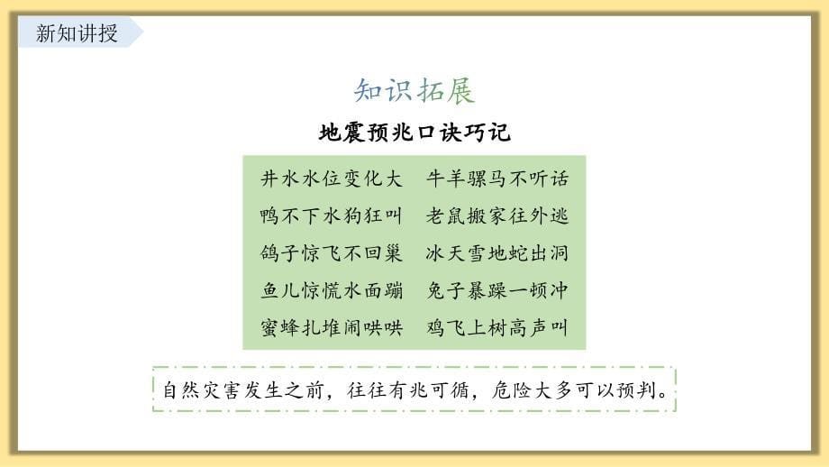 【课件】提高防护能力教学课件-2024-2025学年统编版道德与法治七年级上册_第5页