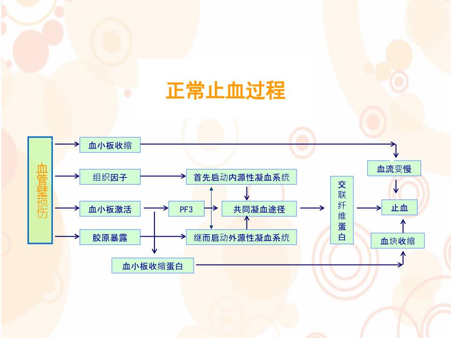 凝血解读-PPT_第4页