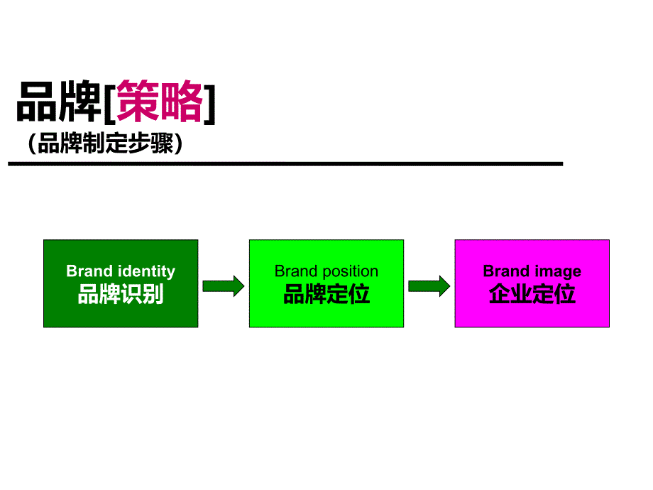 医美整形美容医院品牌规划方案_第3页