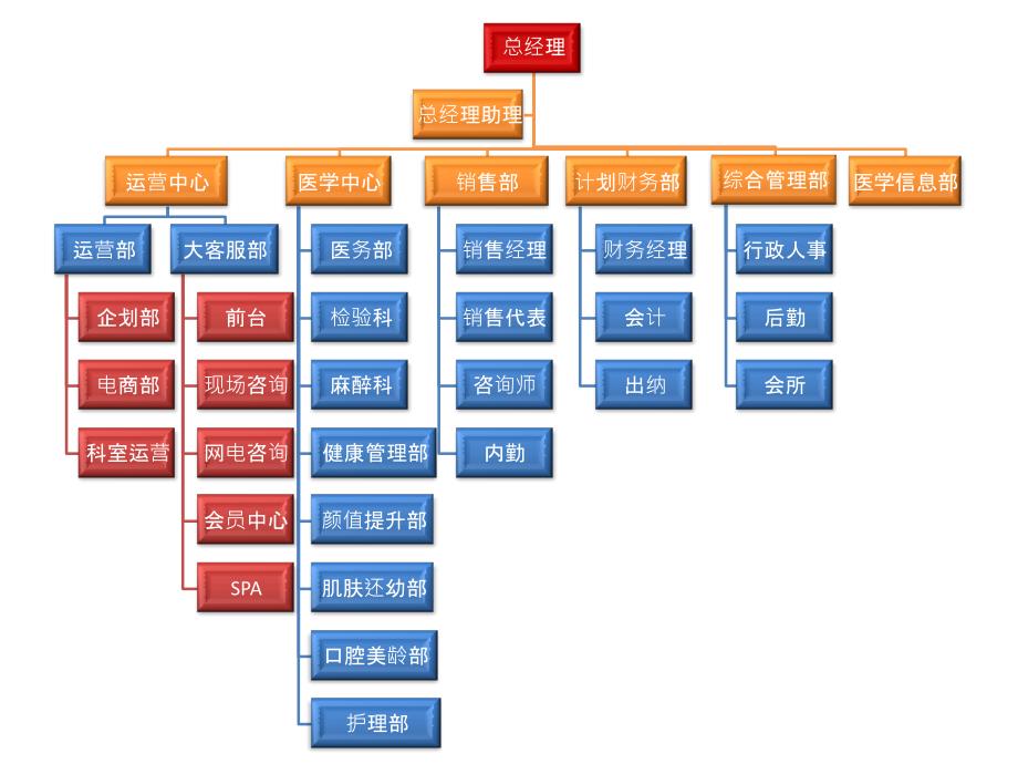 医美整形机构组织架构完整图_第1页