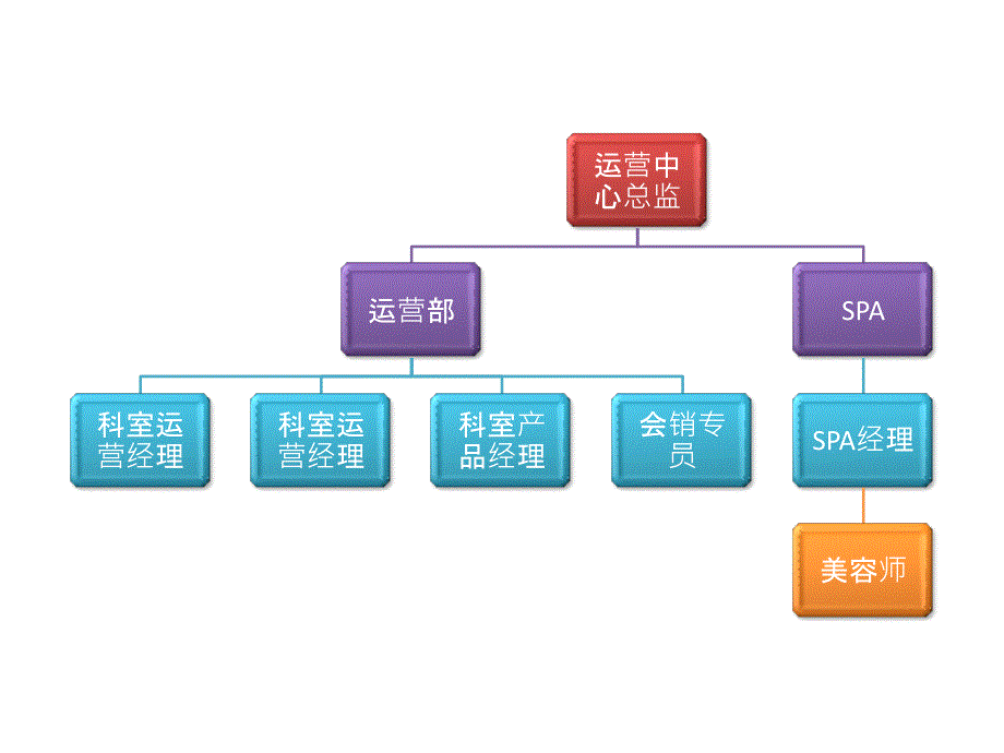 医美整形机构组织架构完整图_第2页