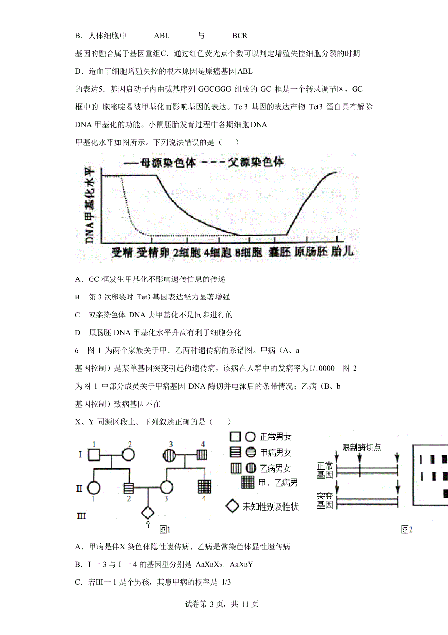 2022 届山东省聊城市高三二模生物试题_第3页