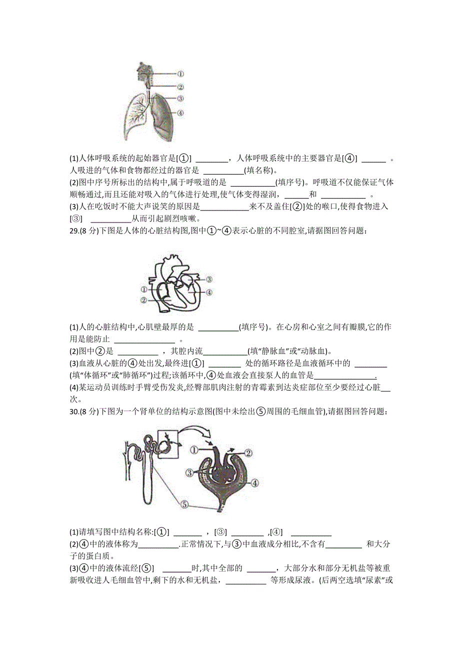 陕西省渭南市韩城市2019-2020学年七年级下学期期末教学检测生物试题(word版)_第4页