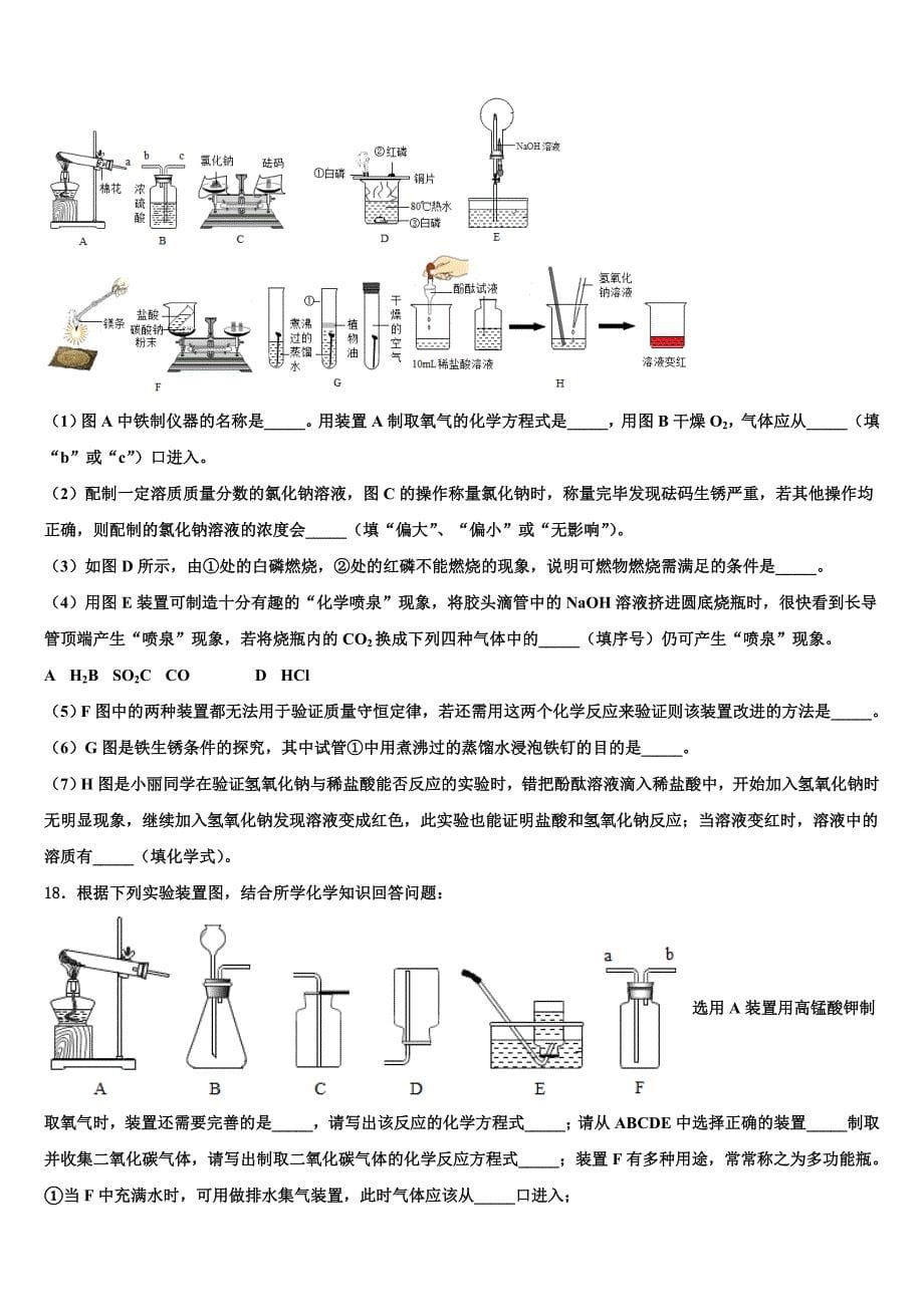 2024届重庆市七中学中考化学全真模拟试卷含解析_第5页