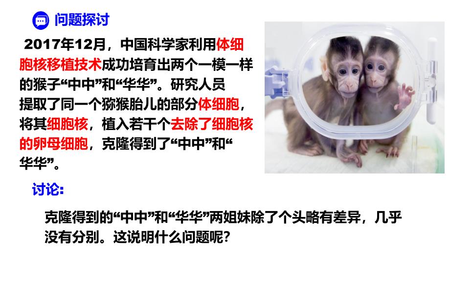 细胞核的结构和功能课件-2024-2025学年高一上学期生物人教版（2019）必修1_第3页