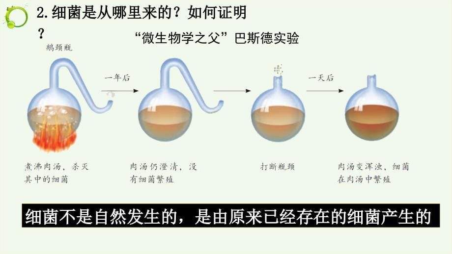 人教版生物八年级上册5.4.2《细菌》课件_第5页