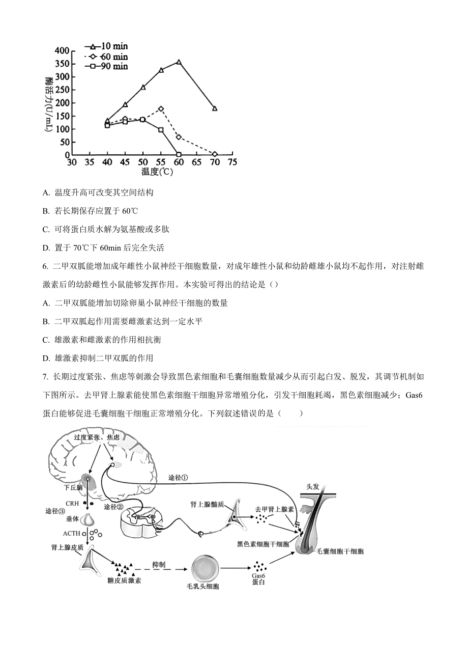 河南省漯河市2023-2024学年高二下学期期质量监测考试+生物试卷（含答案）_第3页