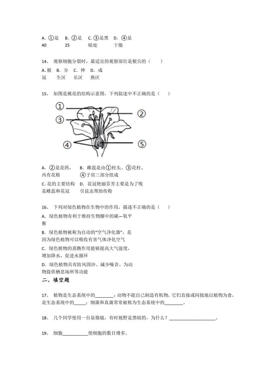 河南省新乡市初中生物七年级期末上册自测模拟潜能激发题（附答案）_第5页