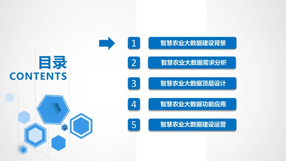 数字农业大数据顶层设计及智慧应用分步实施方案_第2页