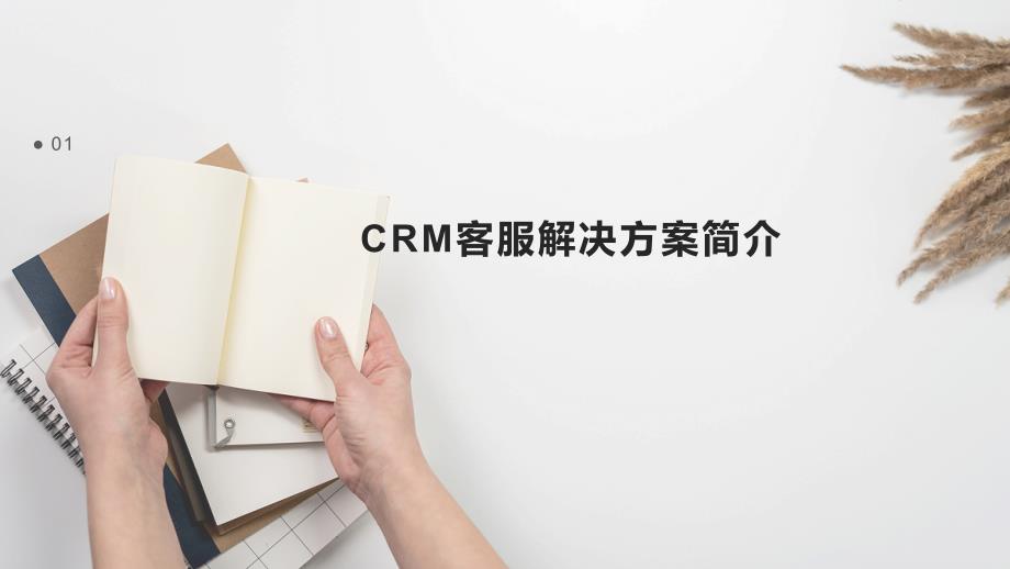 CRM客服解决方案_第3页