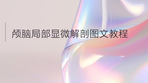 颅脑局部显微解剖图文教程