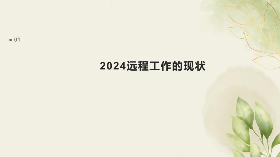 2024远程工作_第3页