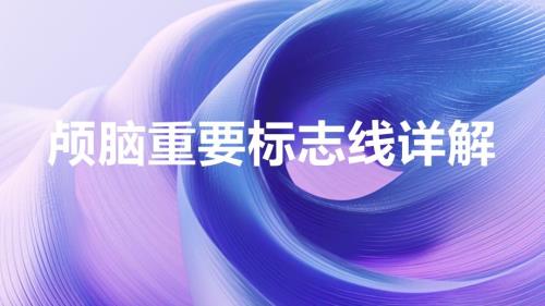 颅脑重要标志线详解