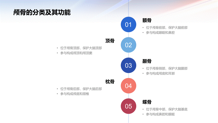 颅骨解剖知识、原理与分析_第3页