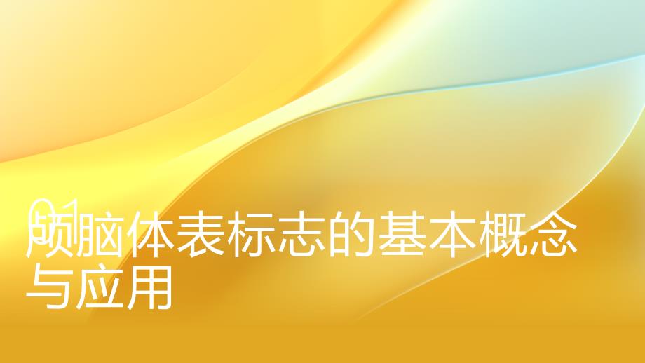 颅脑体表标志和脑出血穿刺定位方法培训课件_第2页