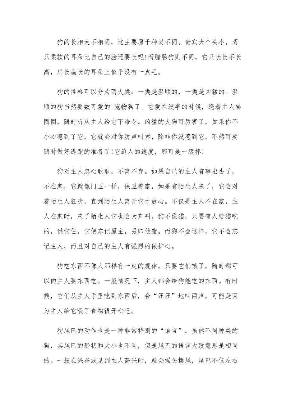 小狗说明文(汇编15篇)_第5页