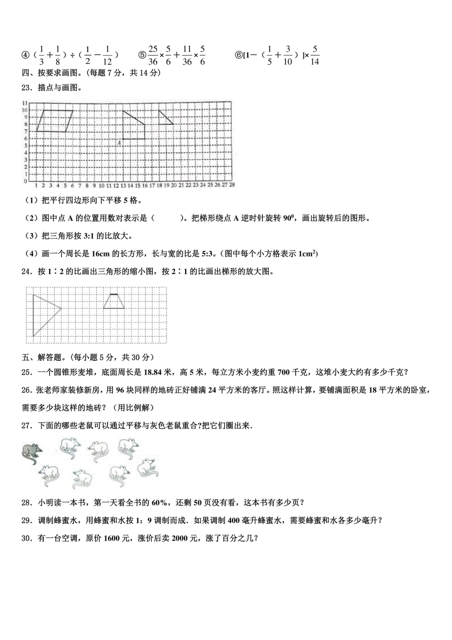 永年县2024年小升初总复习数学精练（含解析）_第3页