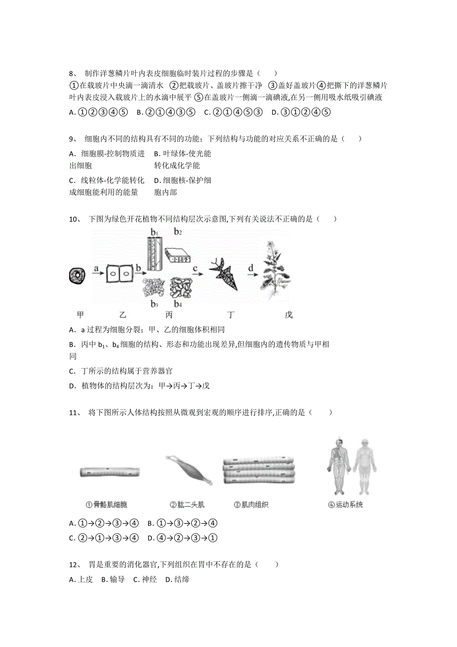 广东省阳江市初中生物七年级期末上册自测名校真题(附答案）_第3页