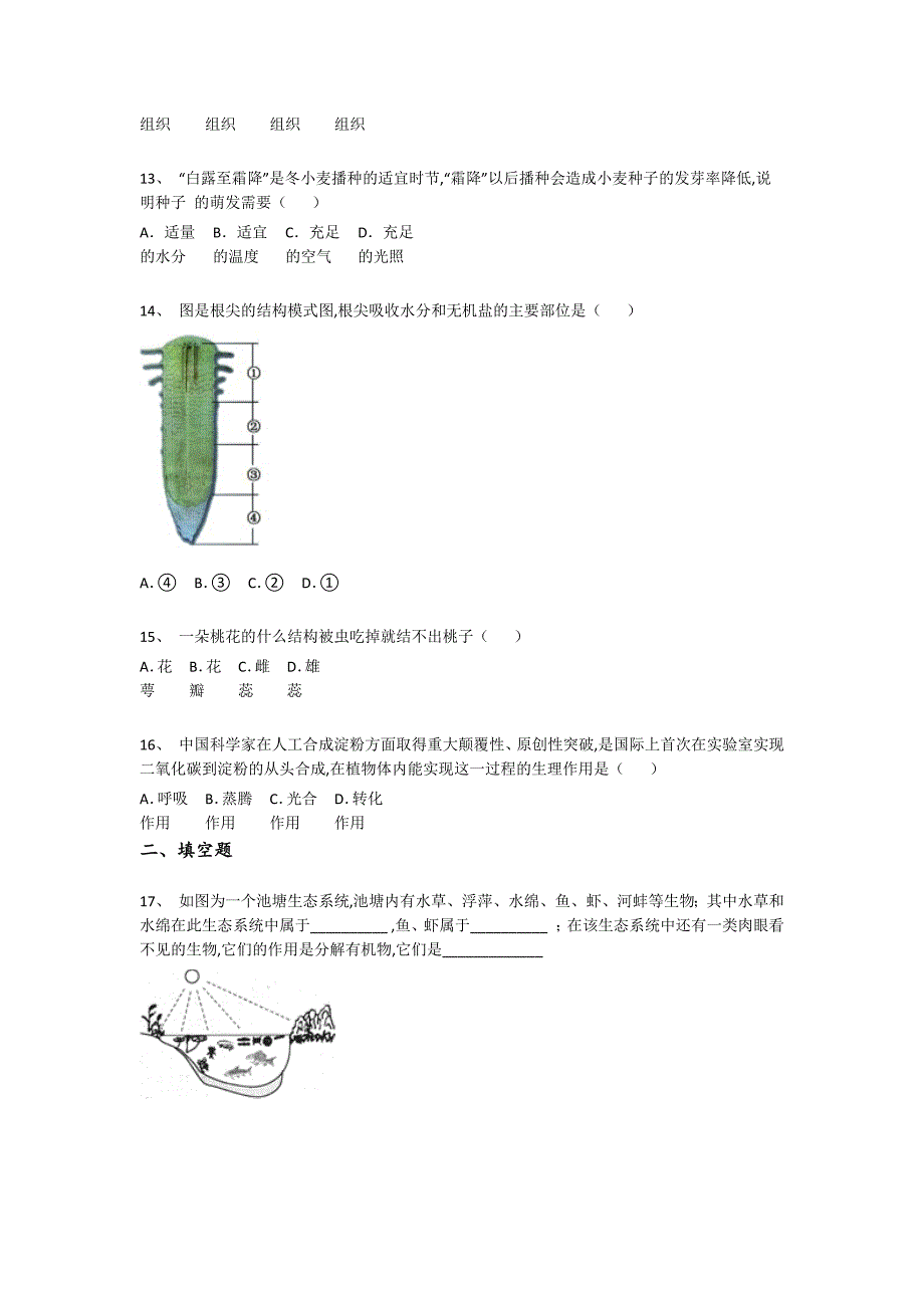 广东省阳江市初中生物七年级期末上册自测名校真题(附答案）_第4页