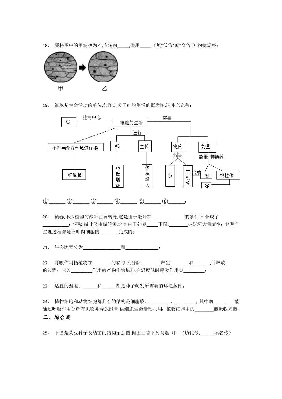 广东省阳江市初中生物七年级期末上册自测名校真题(附答案）_第5页