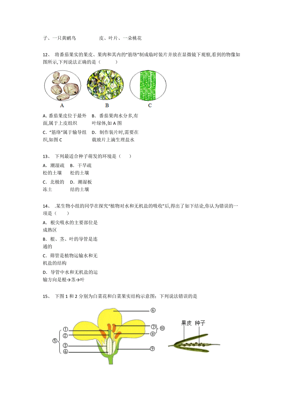 四川省眉山市初中生物七年级期末上册模考易错汇总题(详细参考解析）_第4页