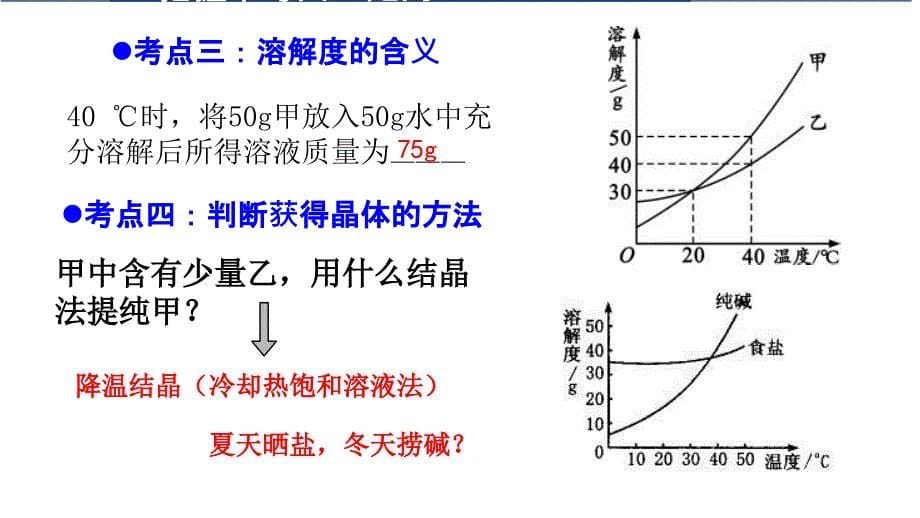 【化 学】溶解度 溶解度曲线的意义和应用-2024-2025学年九年级化学人教版下册_第5页