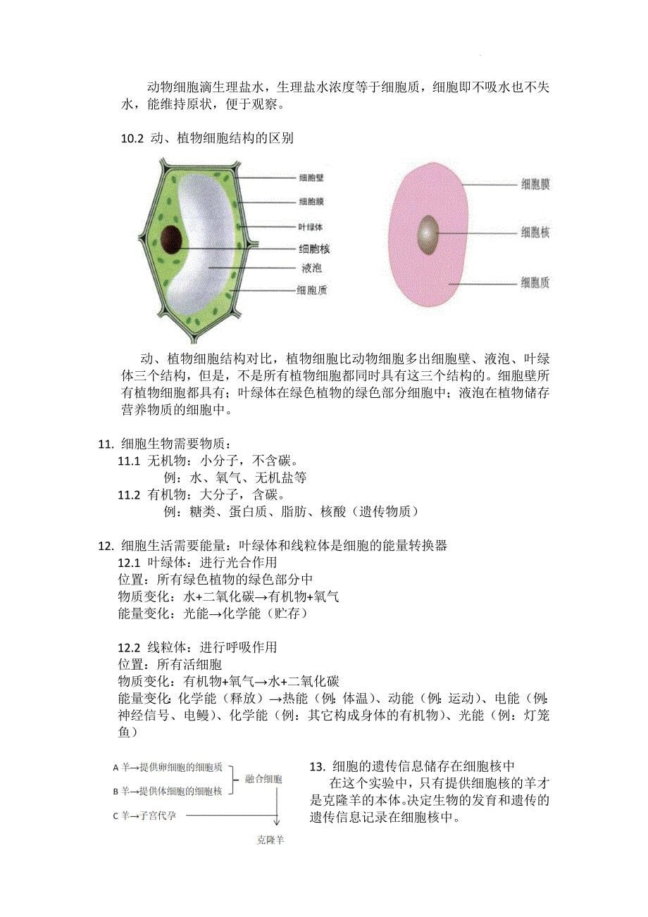 【生 物】2024-2025学年人教版生物七年级上册知识要点_第5页