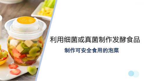 【生 物】综合实践项目 利用细菌或真菌制作发酵食品课件-2024--2025学年人教版生物七年级上册