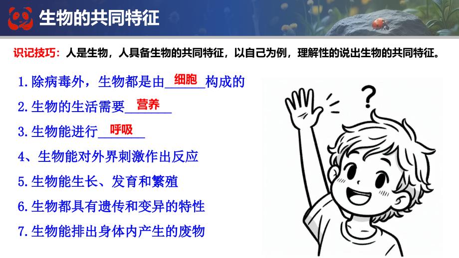 【生 物】期末总复习课件-2024--2025学年人教版生物七年级上册_第2页