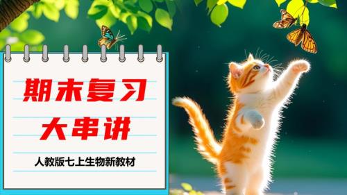 【生 物】期末总复习课件-2024--2025学年人教版生物七年级上册