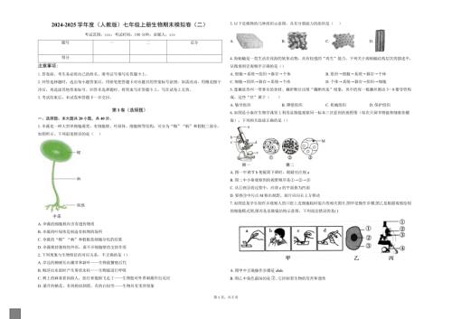 【生 物】2024-2025学年人教版生物七年级上册期末考试模拟卷（二）