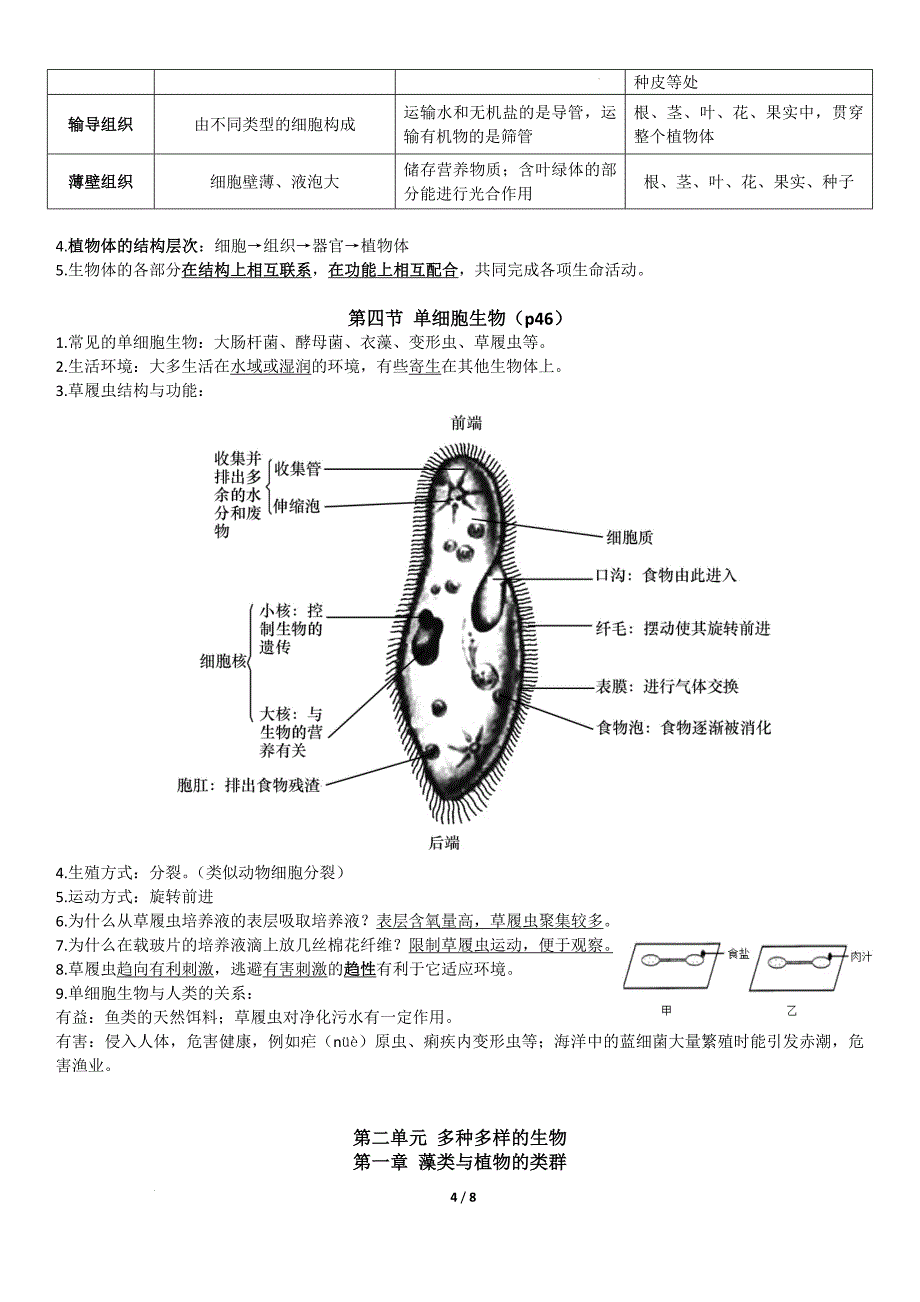 【生 物】2024-2025学年人教版生物七年级上学期期末知识点汇总_第4页