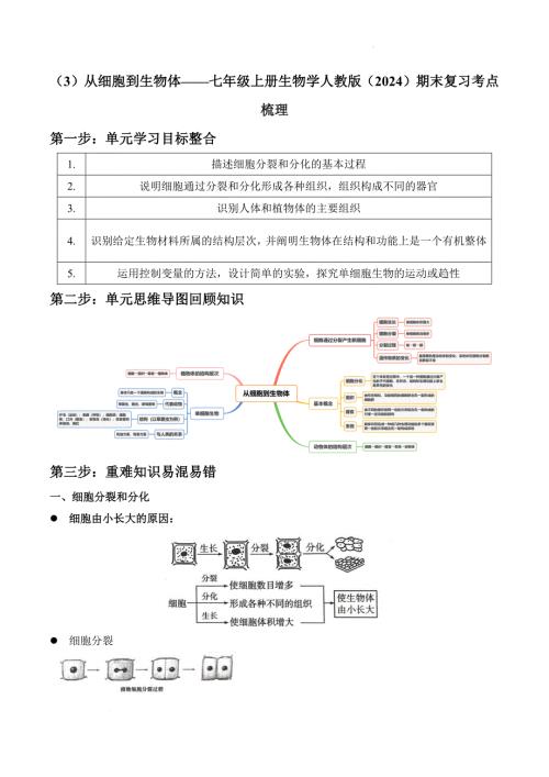 【生 物】2024-2025学年人教版生物七年级上册期末复习考点梳理-（3）从细胞到生物体