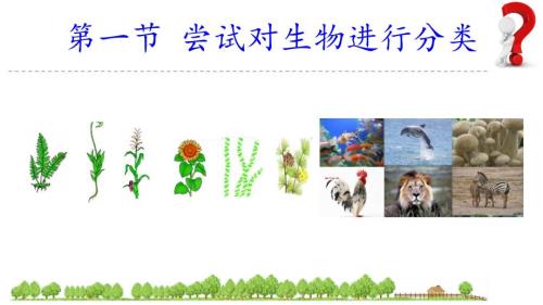 【生 物】尝试对生物进行分类课件-2024-2025学年人教版（2024）生物七年级上册
