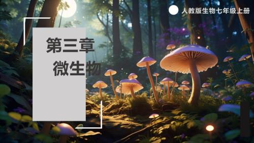 【生 物】第三章微生物复习课件-2024-2025学年人教版生物七年级上册