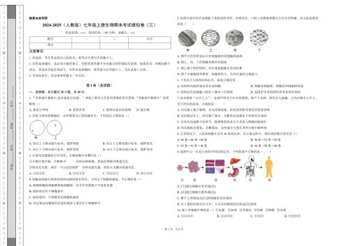 【生 物】2024-2025学年人教版生物七年级上册期末模拟卷（三）