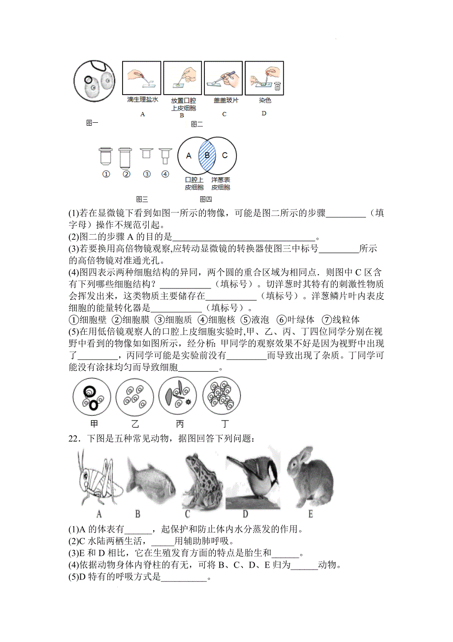 【生 物】2024-2025学年人教版生物学七年级上册期末复习训练题_第4页