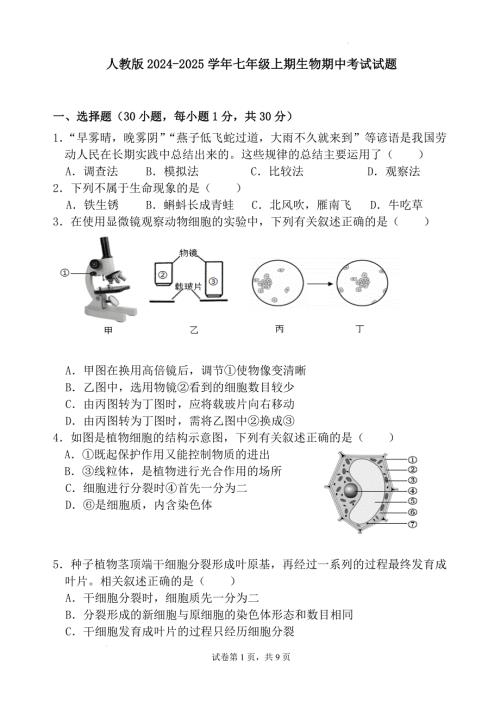 【生 物】人教版2024-2025学年七年级上学期生物期中考试试题