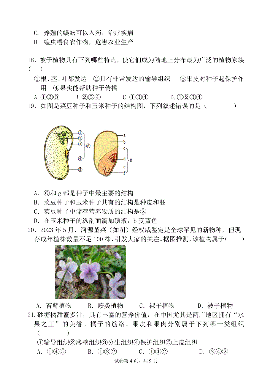 【生 物】人教版2024-2025学年七年级上学期生物期中考试试题_第4页