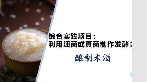 【生 物】综合实践项目 利用细菌或真菌制作发酵食品 酿制米酒课件 2024-2025学年人教版生物七年级上册