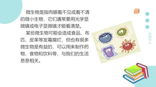 【生 物】综合实践项目 微生物的妙用课件-2024-2025学年人教版七年级生物上册