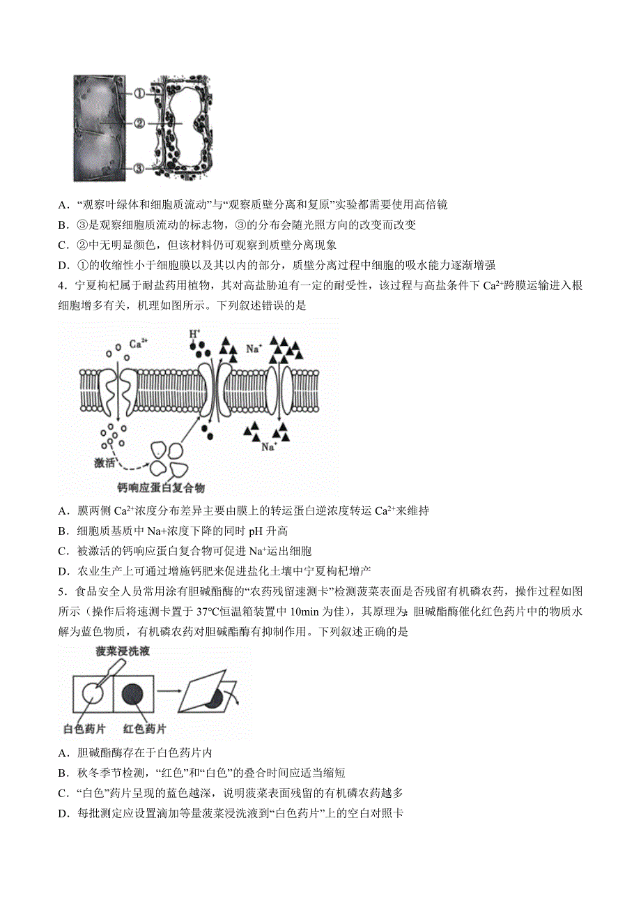 安徽江淮十校2025届高三第二次联考生物试题+答案_第2页
