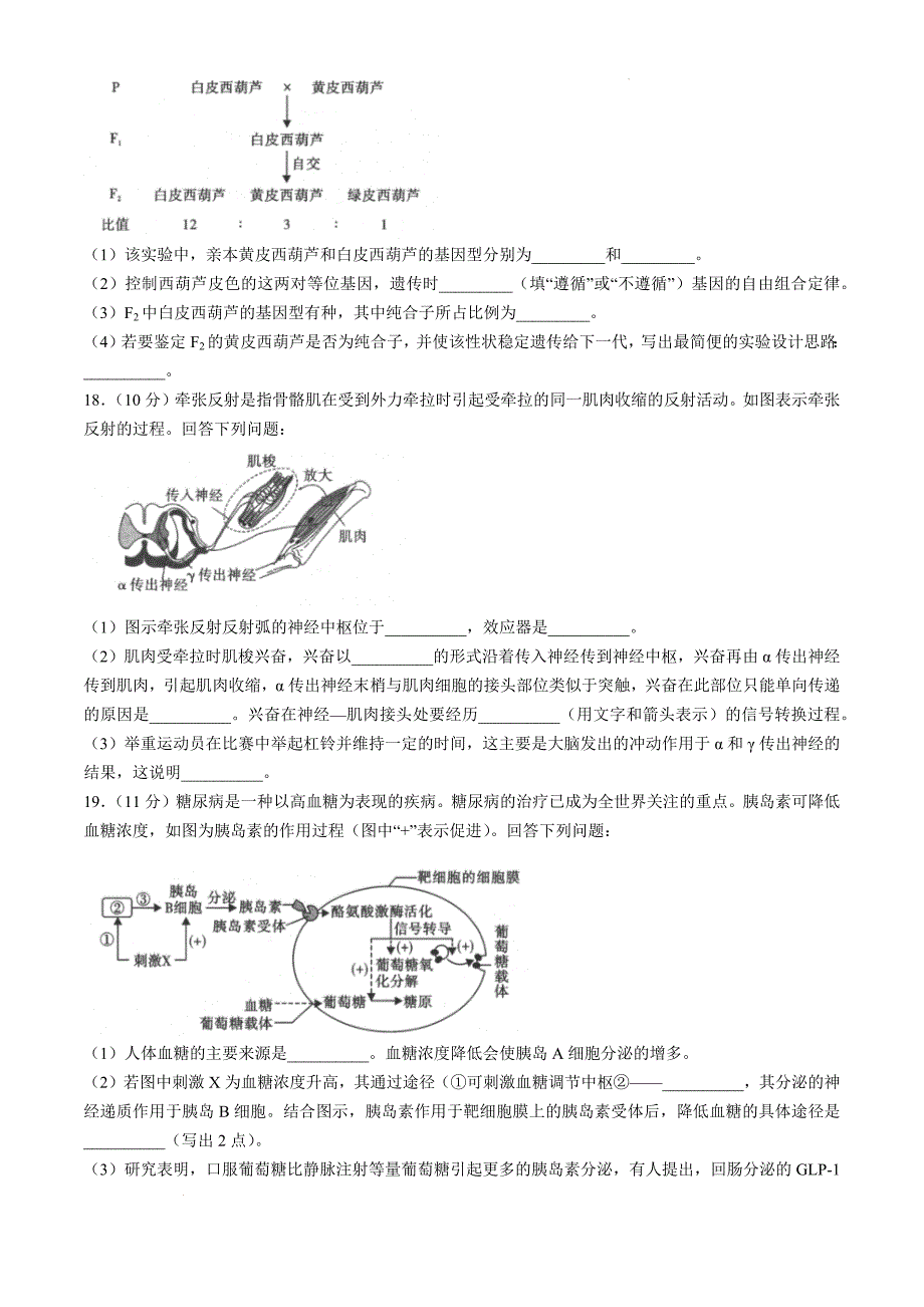 陕西省汉中市2024-2025学年高二上学期11月期中校际联考生物Word版_第4页