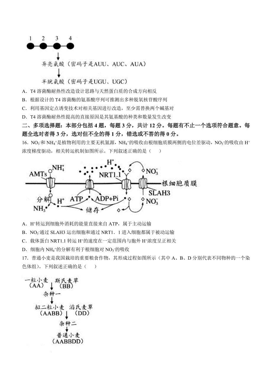 江苏省扬州市2024-2025学年高三上学期11月期中生物Word版_第5页