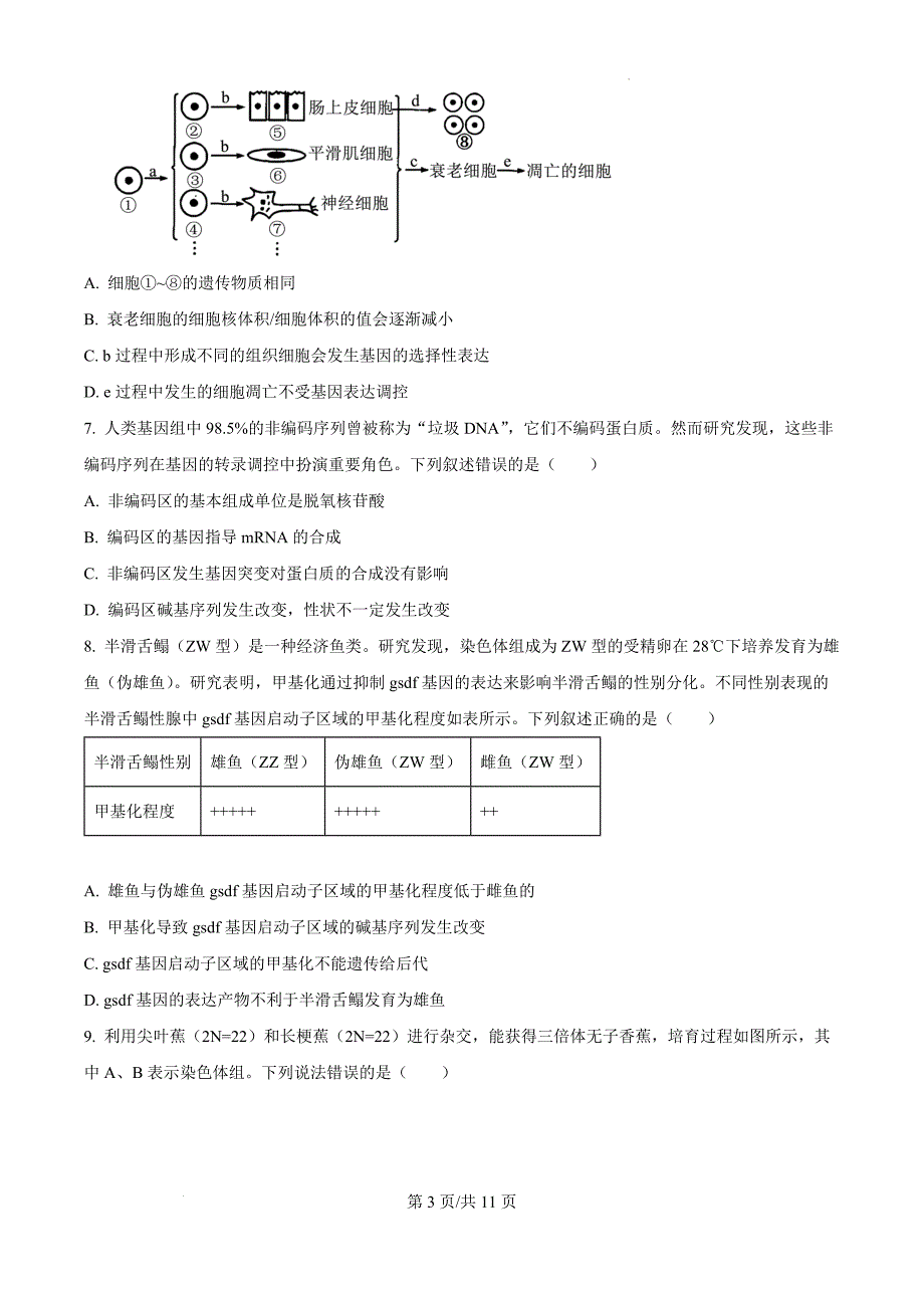 河北省邢台市质检联盟2024-2025学年高三上学期11月期中联考生物（原卷版）_第3页