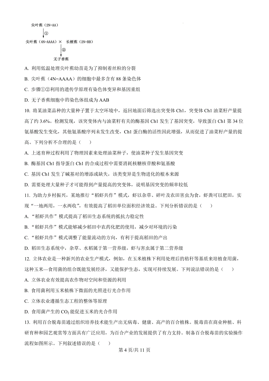 河北省邢台市质检联盟2024-2025学年高三上学期11月期中联考生物（原卷版）_第4页