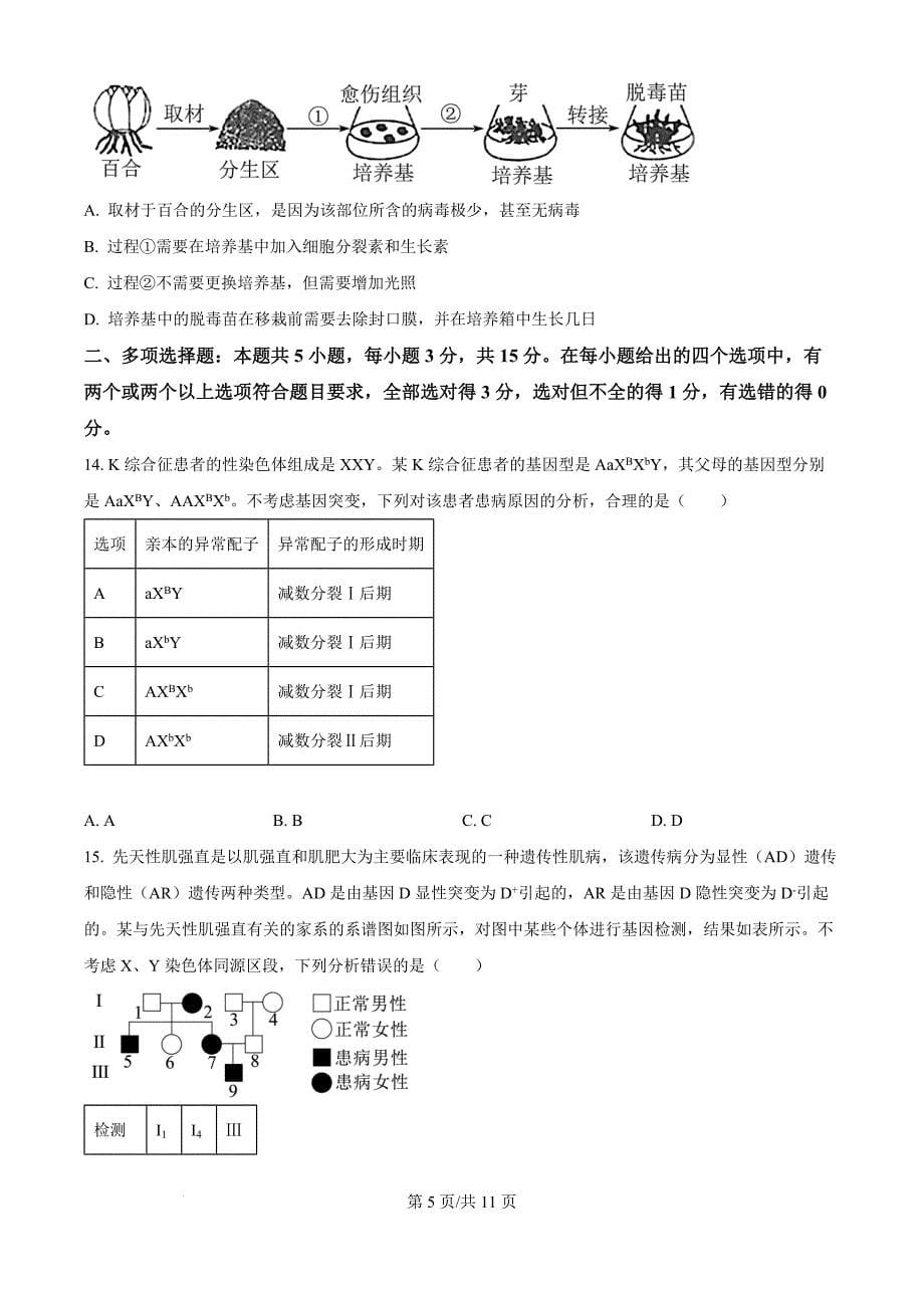 河北省邢台市质检联盟2024-2025学年高三上学期11月期中联考生物（原卷版）_第5页