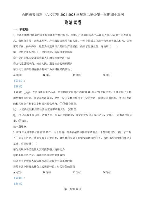 安徽省合肥市六校联盟2024-2025学年高二上学期11月期中联考政治（解析版）